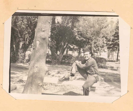 ww31