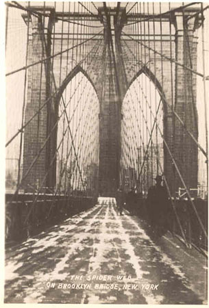 pic8